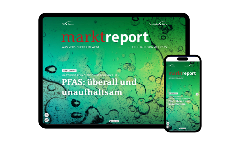 Deutsche Rück: Magazin Marktreport Digital und Print, Ausgabe 2025/01